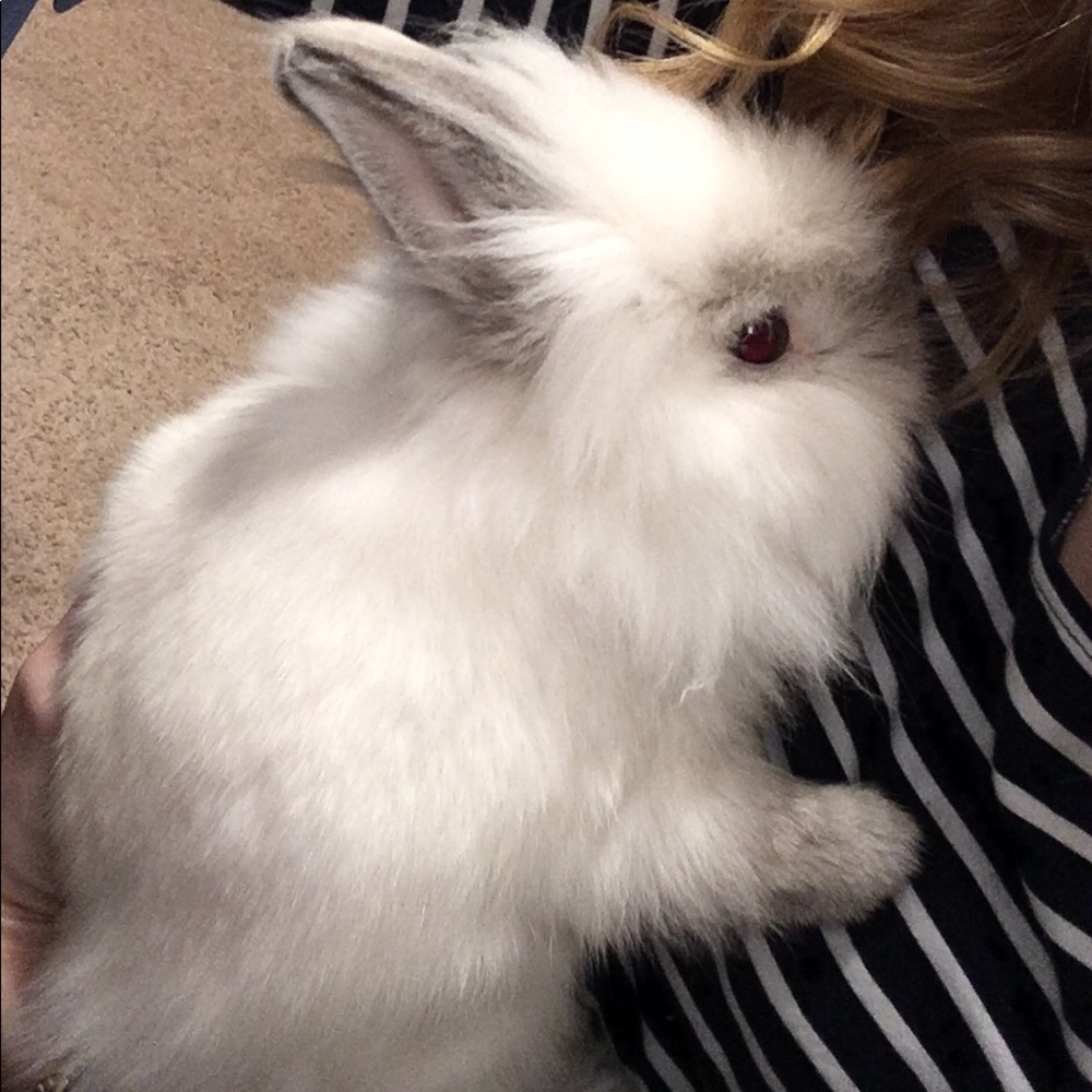 Meet your Posher, Amanda